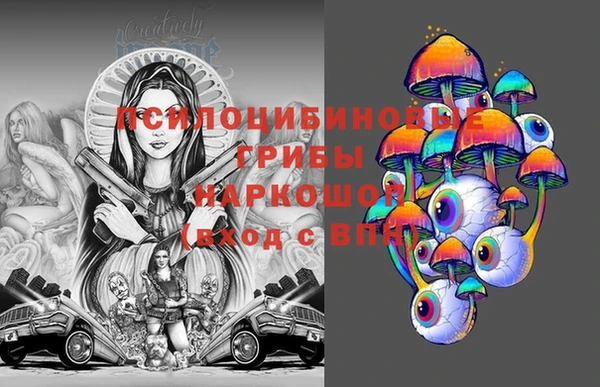 таблы Богородицк